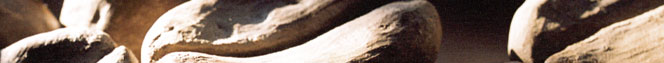 escultura