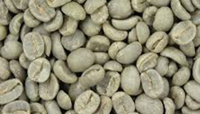 Liberação para entrada de grãos peruanos ameaça a cafeicultura do ES