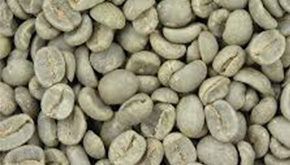 Importação de café peruano é suspensa pelo Governo Federal