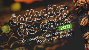 Prevenção do coronavírus durante a colheita do café